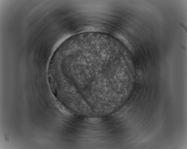 X0000091201427200709061404