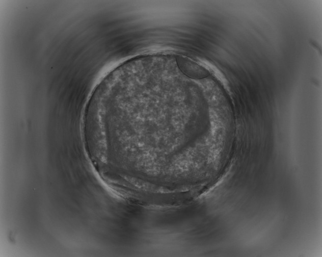 X0000091201429200709061404