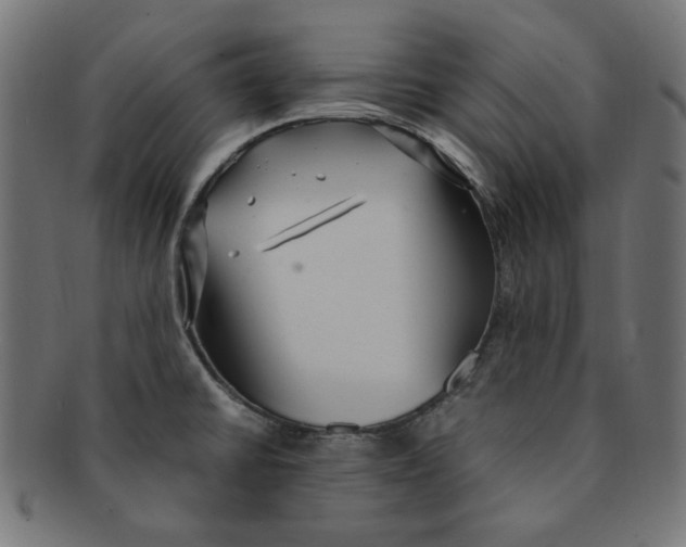 X0000091201430200709061404