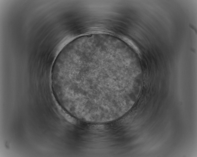 X0000091201431200709061404