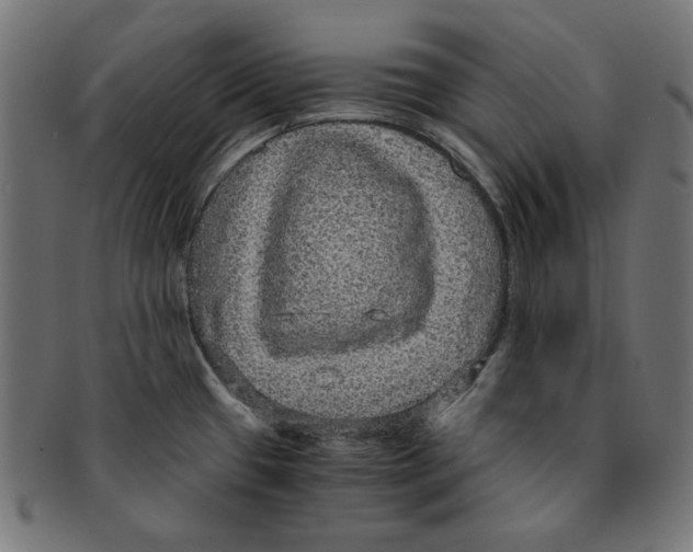 X0000091201433200709061404