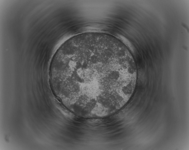 X0000091201435200709061404