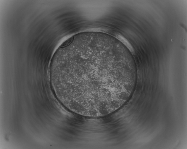 X0000091201436200709061404