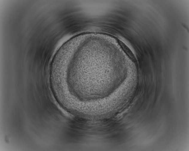 X0000091201437200709061404