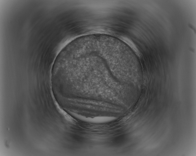 X0000091201439200709061404