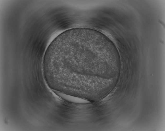 X0000091201440200709061404