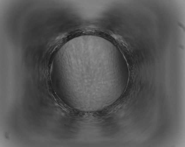 X0000091201445200709061404