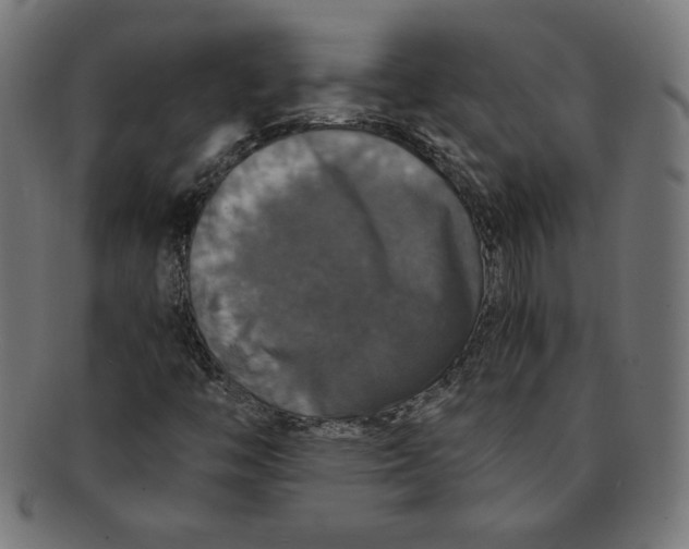 X0000091201446200709061404