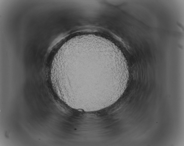 X0000091201448200709061404