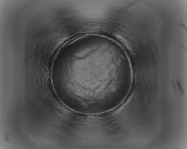 X0000091201449200709061404