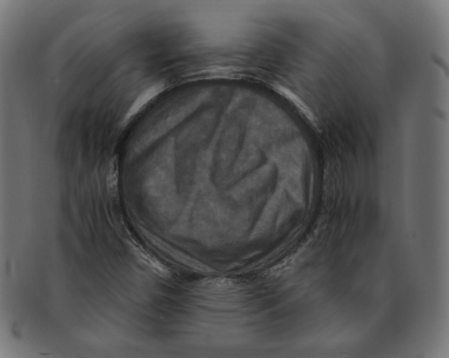 X0000091201450200709061404