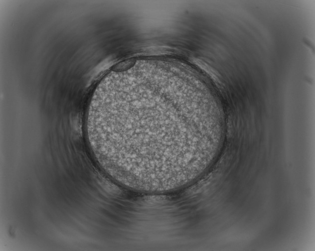 X0000091201451200709061404