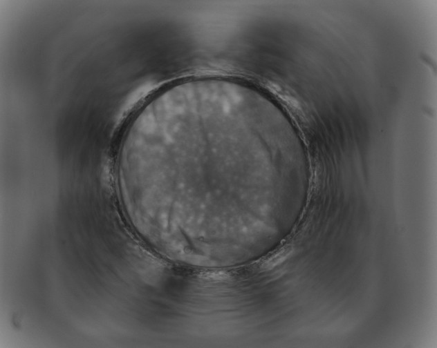 X0000091201454200709061404