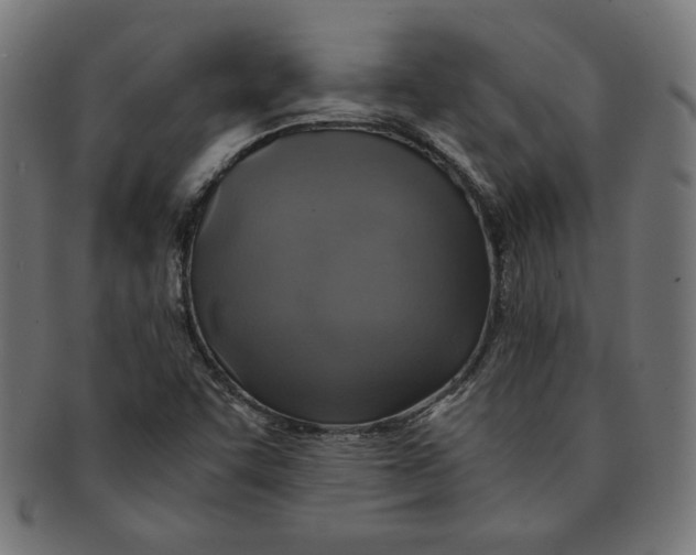 X0000091201455200709061404