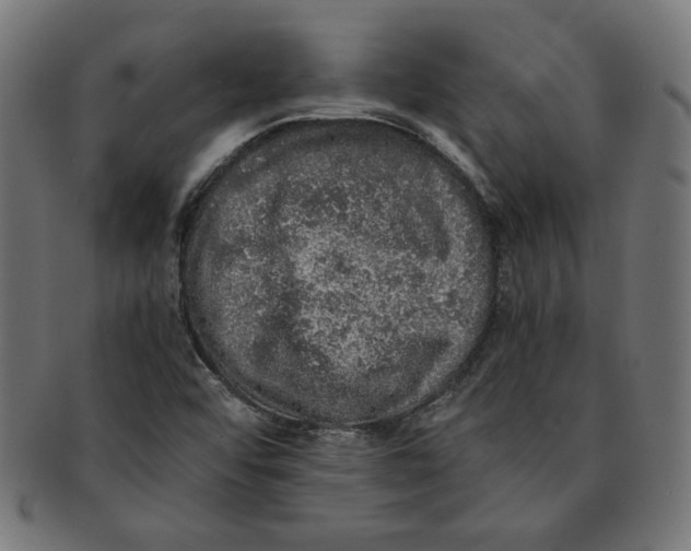 X0000091201456200709061404