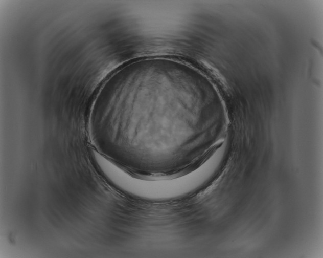 X0000091201457200709061404