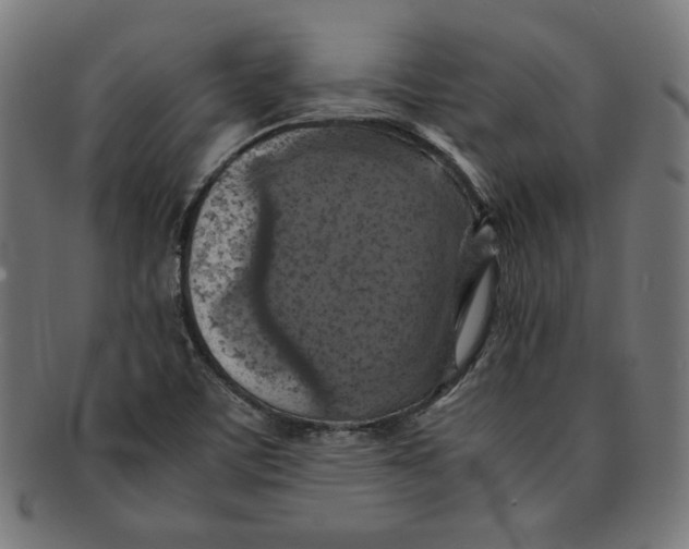 X0000091201459200709061404