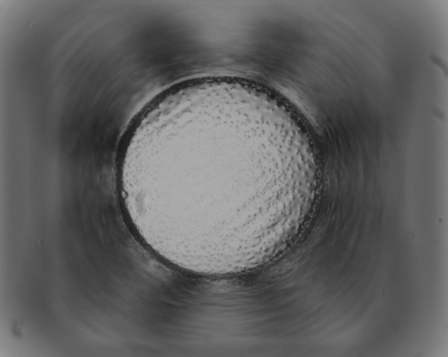 X0000091201460200709061404