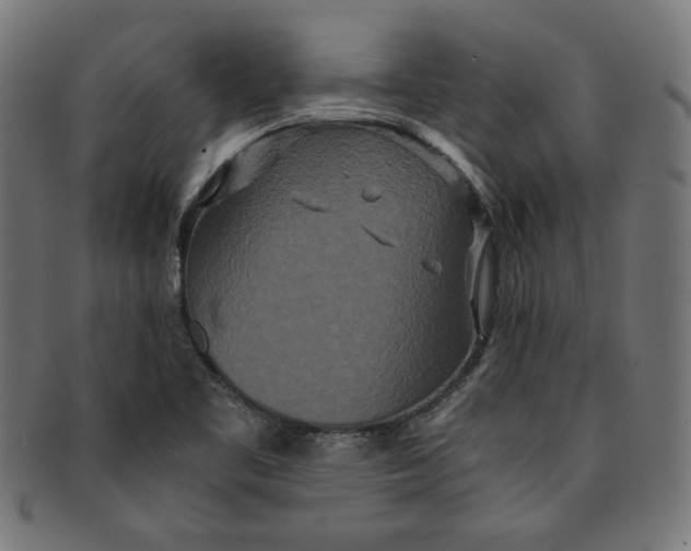 X0000091201461200709061404