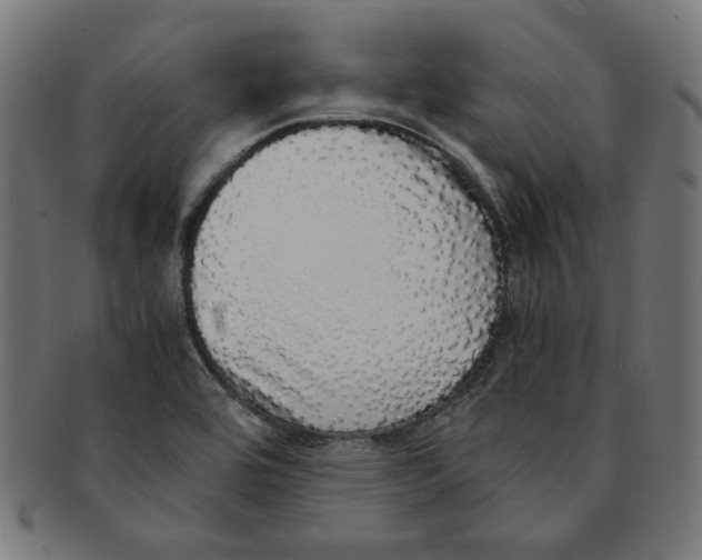 X0000091201464200709061404