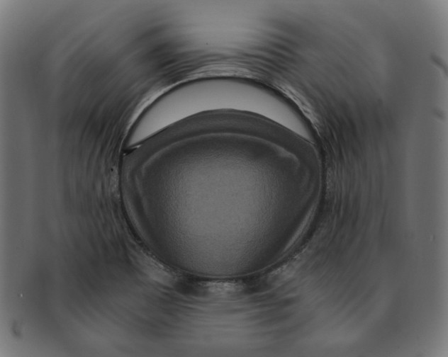 X0000091201465200709061404