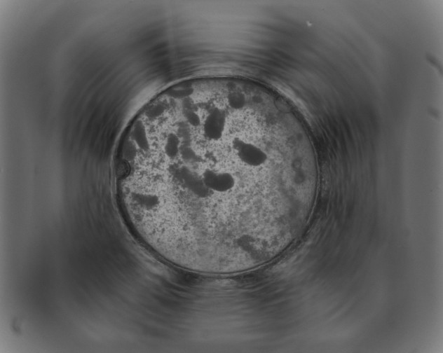 X0000091201467200709061404