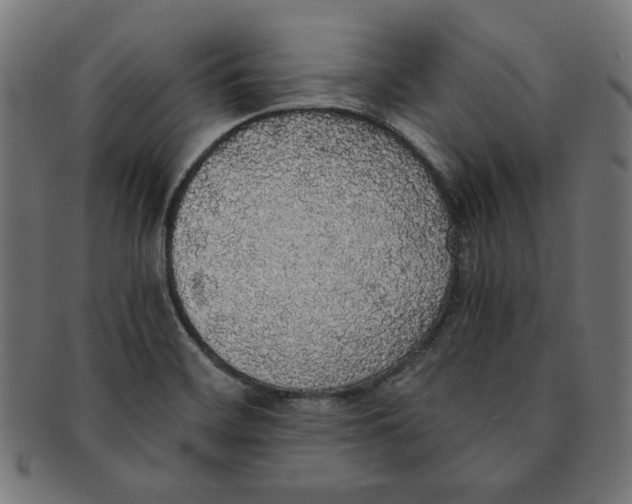 X0000091201468200709061404