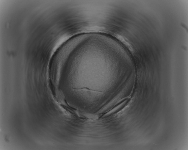 X0000091201469200709061403