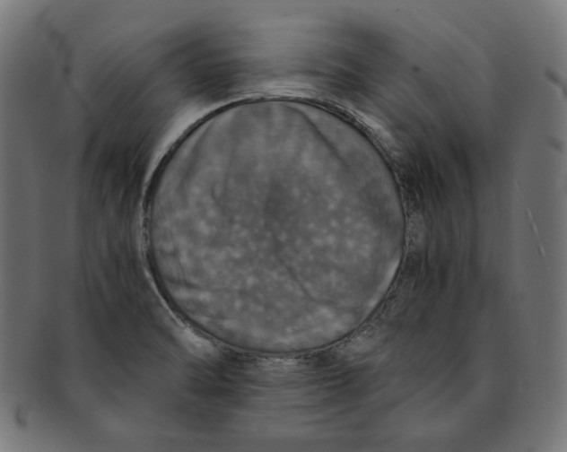 X0000091201470200709061403