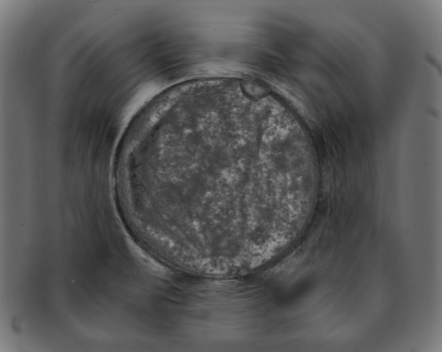 X0000091201471200709061403