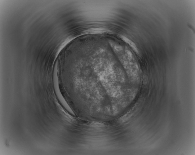 X0000091201473200709061403