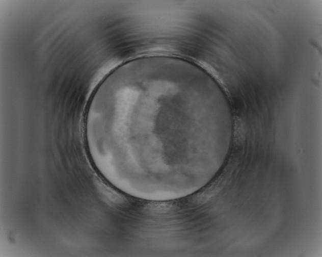 X0000091201474200709061403