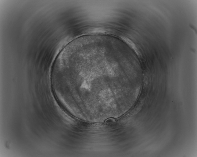 X0000091201475200709061403