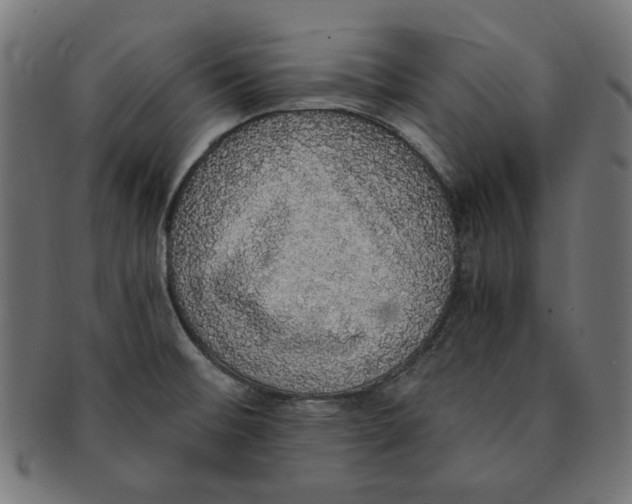 X0000091201476200709061403