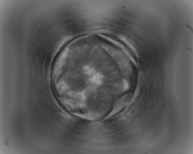 X0000091201477200709061403