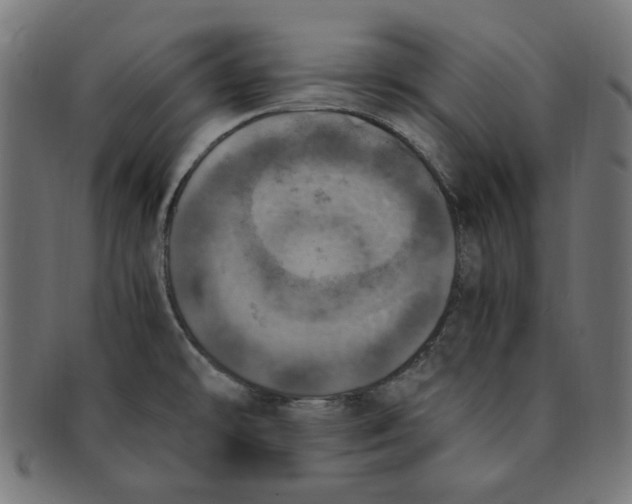 X0000091201478200709061403