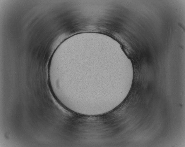 X0000091201479200709061403