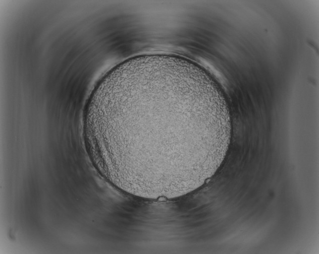 X0000091201480200709061403