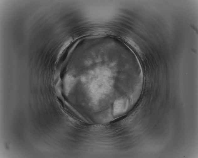X0000091201481200709061403