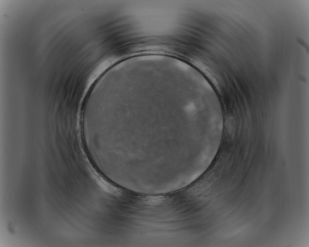 X0000091201482200709061403