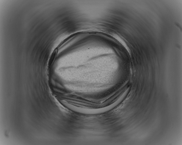 X0000091201485200709061403