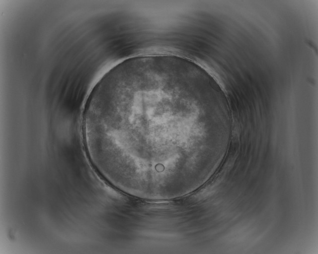 X0000091201486200709061403