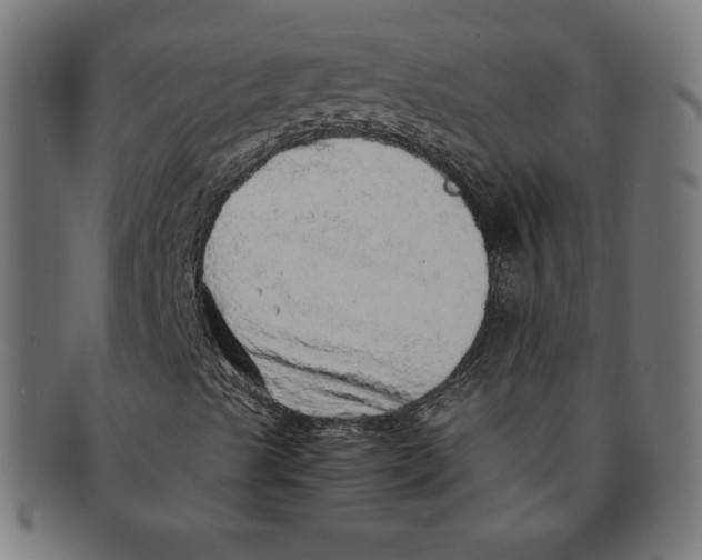 X0000091201489200709061403