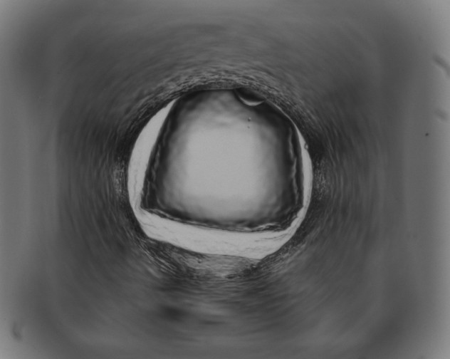 X0000091201490200709061403
