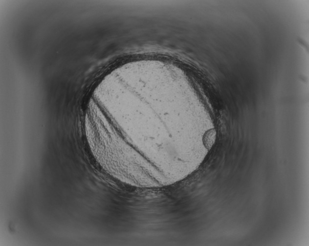 X0000091201493200709061403