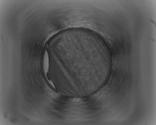 X0000091201497200709061403