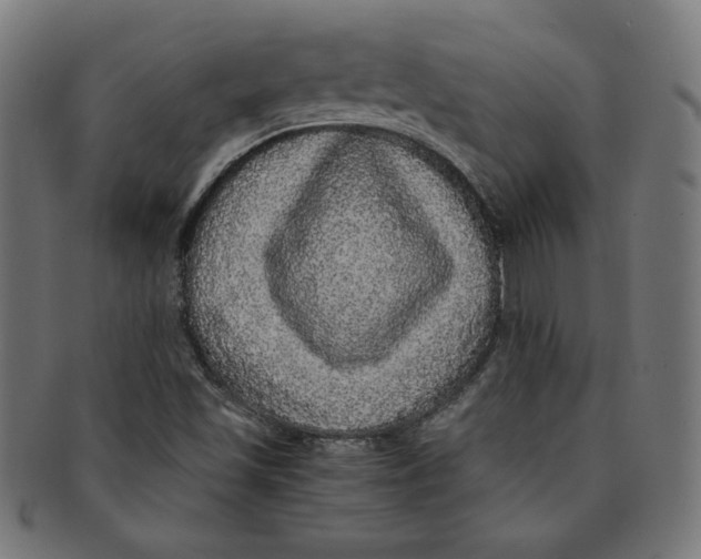 X0000091201501200709061403