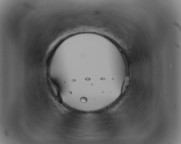 X0000091201502200709061403