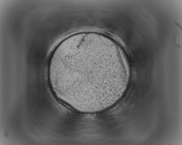 X0000091201504200709061403
