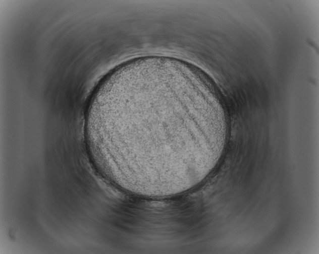 X0000091201507200709061403